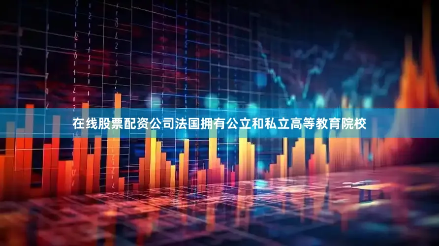 在线股票配资公司法国拥有公立和私立高等教育院校