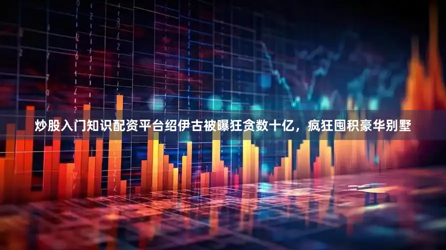 炒股入门知识配资平台绍伊古被曝狂贪数十亿，疯狂囤积豪华别墅
