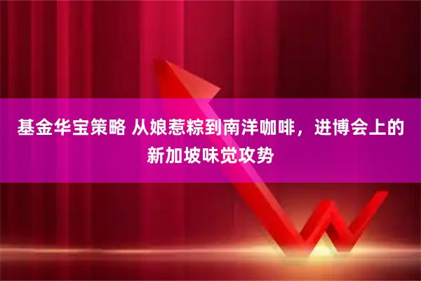 基金华宝策略 从娘惹粽到南洋咖啡，进博会上的新加坡味觉攻势